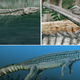 Illustration for article titled How crocodile extinction led to dinosaur domination